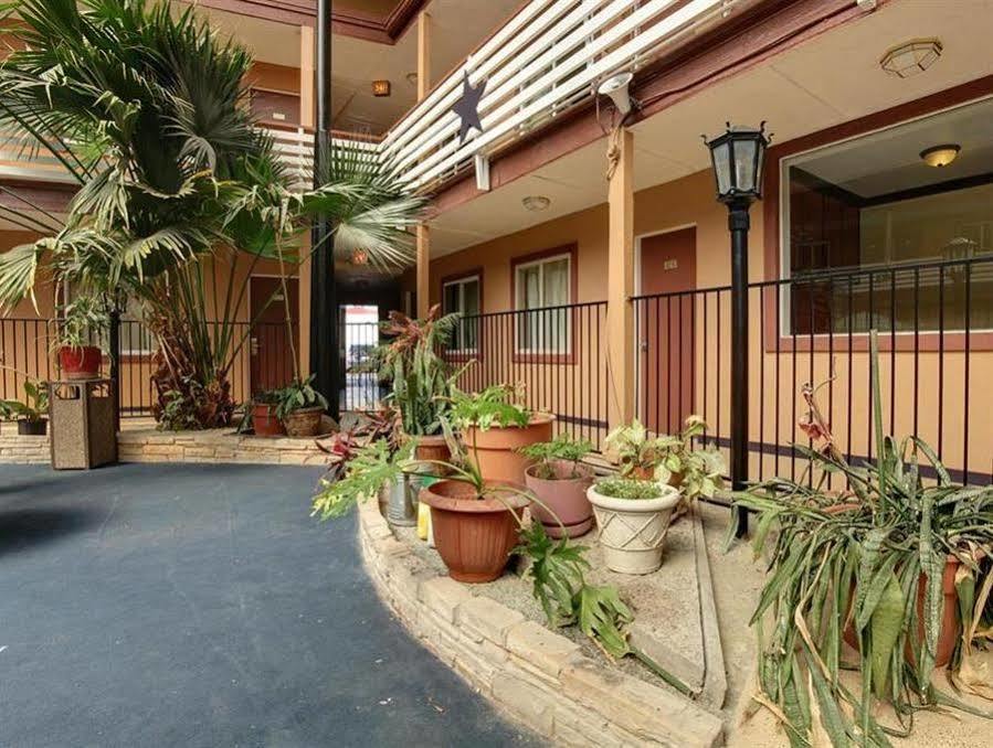 Budget Host Inn Arlington Exterior photo